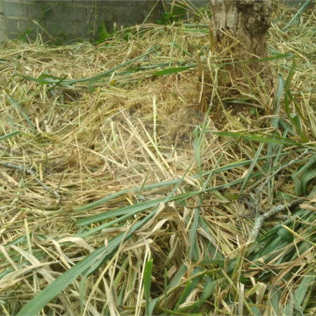Terreno à venda em Jardim do Trevo, Atibaia, SP