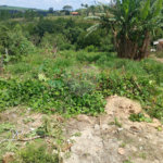 Terreno à venda com 1 quarto em Bairro Biscoito Duro, Itapetininga, SP