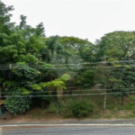Sobrado à venda com 3 suítes em Jardim Franca, São Paulo, SP