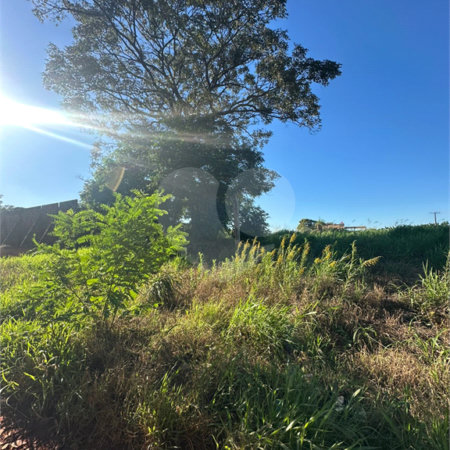 Terreno à venda em Pedro Juan Caballero, Amambay