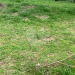 Terreno à venda no condomínio Residencial Veneza, Mogi das Cruzes - SP