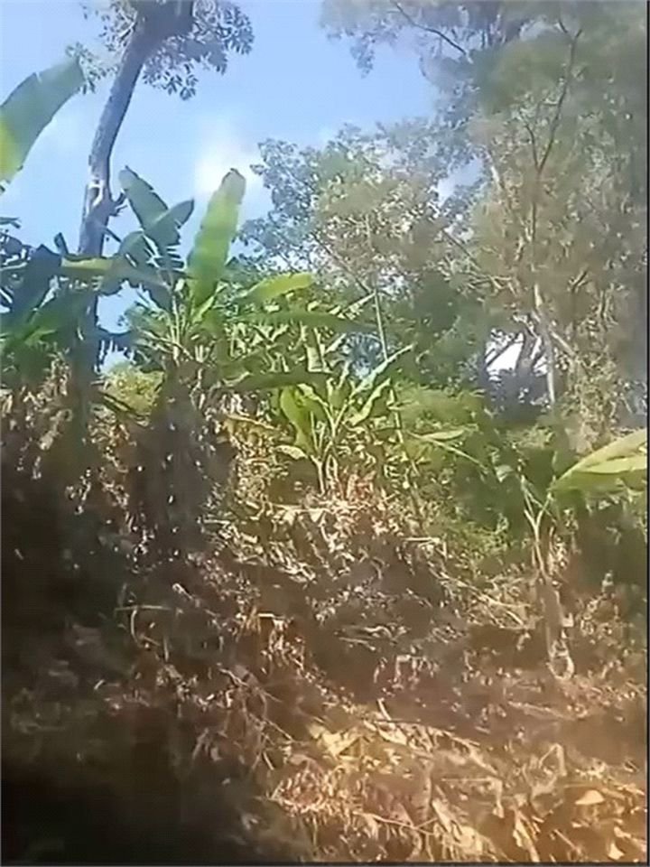 Terreno Residencial à venda, , - TE0030.
