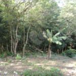 Terreno à venda em Samambaia, Mairiporã, SP