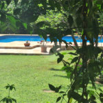 Chácara à venda com 3 quartos, sendo 1 suíte, em Chácara Flora Araraquara, Araraquara, SP