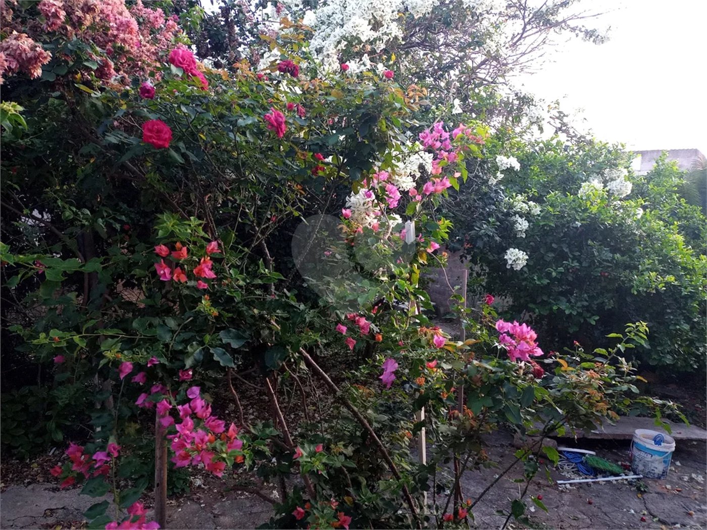 Casa à venda com 2 quartos em Jardim Nossa Senhora de Fátima, Hortolândia, SP