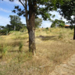 Terreno à venda em Vista Alegre, Vinhedo, SP
