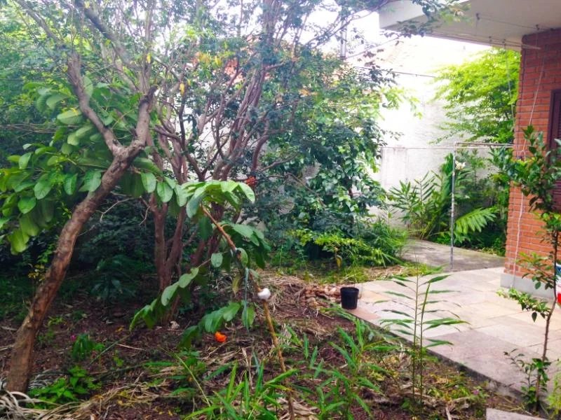 Casa Térrea à venda com 3 quartos, sendo 1 suíte, em Vila Cordeiro, São Paulo, SP