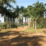 SÍTIO A VENDA - BELA VISTA