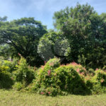 Terreno à venda em Campestre, Piracicaba, SP