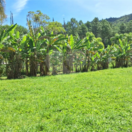 Chácara à venda com 4 quartos, sendo 1 suíte, em Taiaçupeba, Mogi das Cruzes, SP