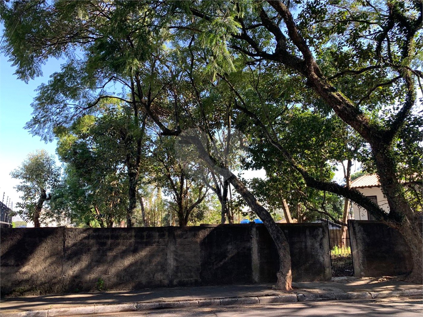Terreno à venda em Vila Tramontano, São Paulo, SP