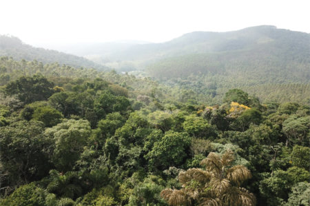 Chácara à venda com 5 quartos em Volta Grande (são João Novo), São Roque, SP