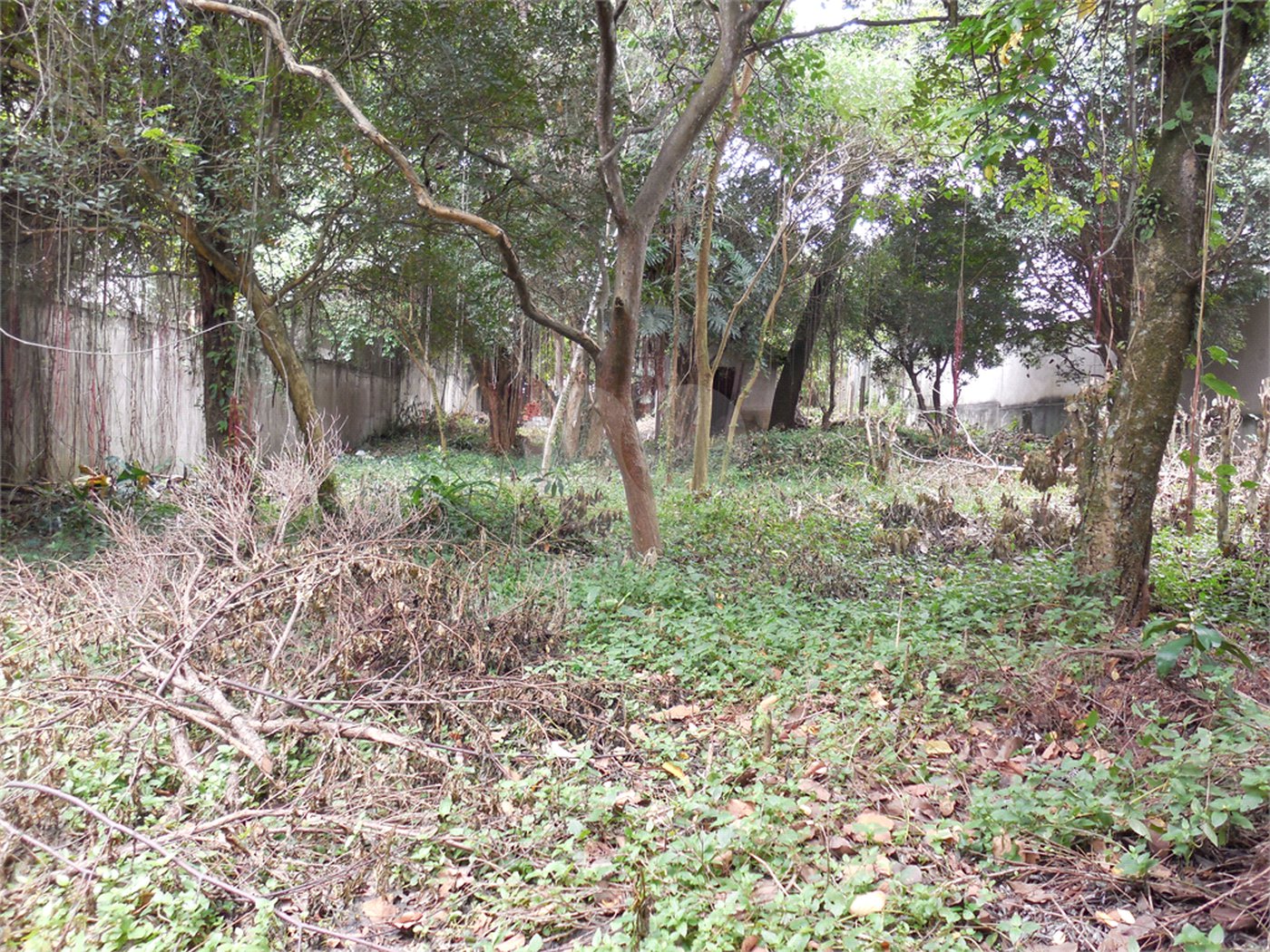 Terreno à venda em Alto da Boa Vista, São Paulo, SP