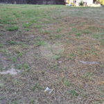 Terreno à venda em Jardim Ypê, Paulínia, SP