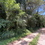 Terreno à venda em Serra da Cantareira, Mairiporã, SP
