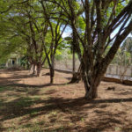 Terreno à venda em Pinheirinho, Vinhedo, SP