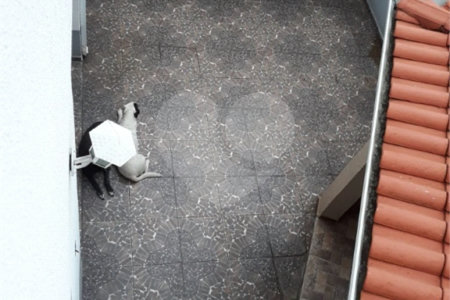 Casa à venda com 3 quartos, sendo 1 suíte, em Vila Suissa, Mogi das Cruzes, SP