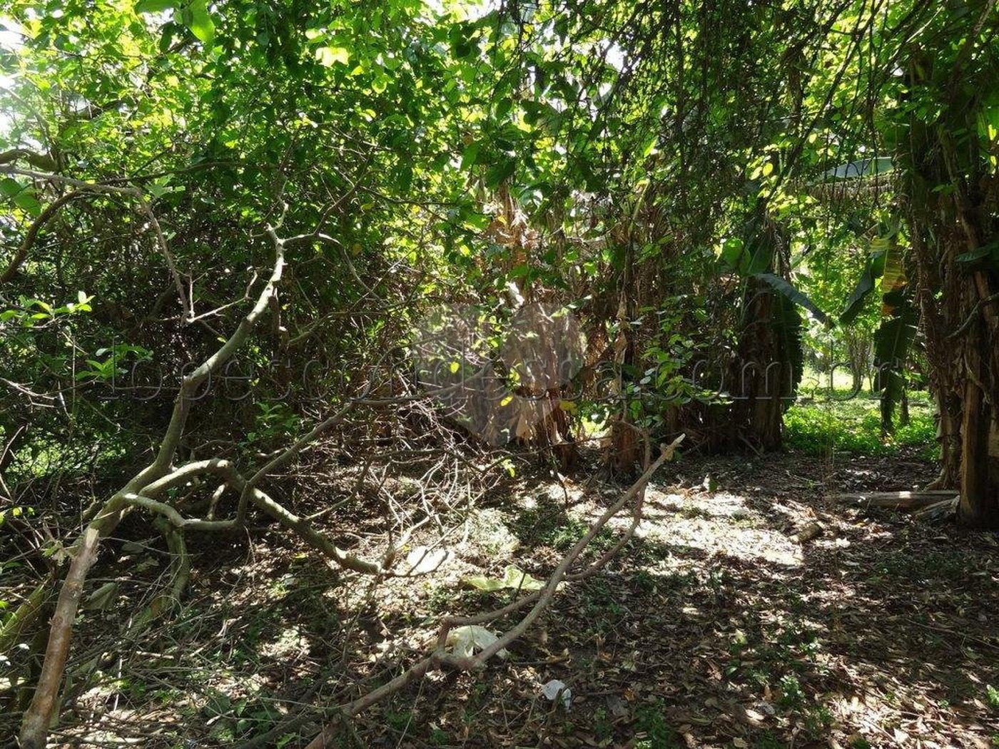 Terreno à venda em Horto Florestal, São Paulo, SP