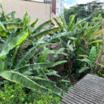 Terreno à venda em Santana, São Paulo, SP
