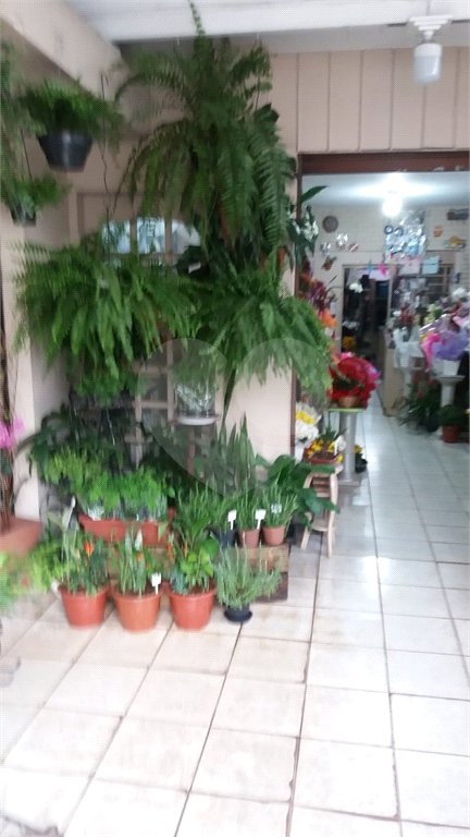 Loja à venda com 3 quartos em Vila Albertina, São Paulo, SP