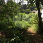 Terreno à venda ou para alugar em Horto, São Paulo, SP