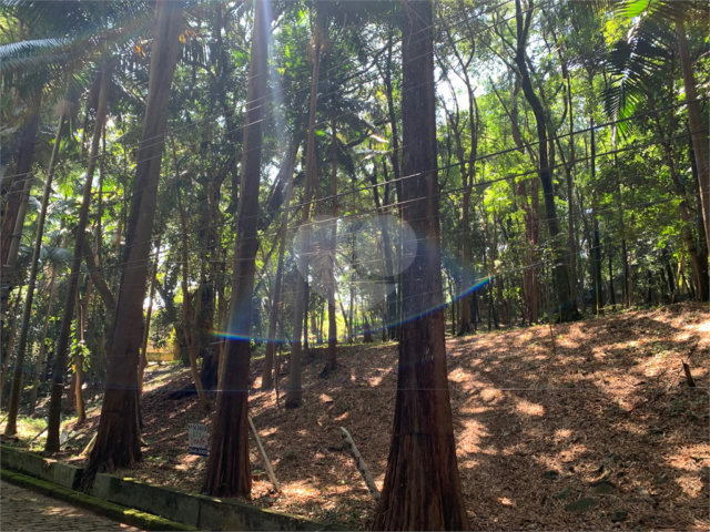 Terreno à venda no condomínio Chácara Flora, São Paulo - SP