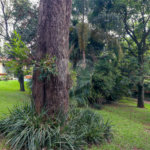 Casa Térrea à venda com 3 quartos, sendo 1 suíte, em Jardim Petrópolis, São Paulo, SP