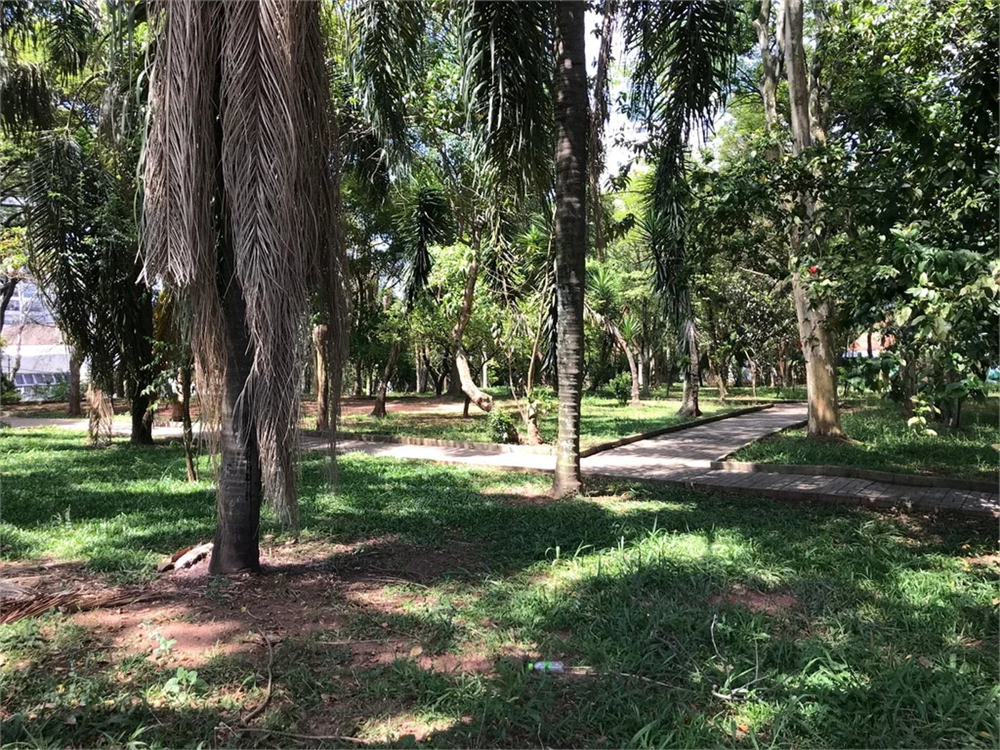 Terreno à venda em Lar São Paulo, São Paulo, SP