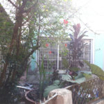 Terreno à venda em Vila Isolina Mazzei, São Paulo, SP