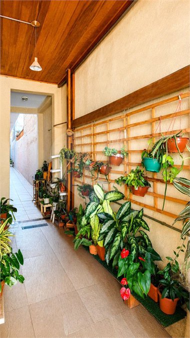 Casa à venda com 5 quartos, sendo 1 suíte, em Parque Edu Chaves, São Paulo, SP