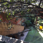 Sobrado à venda com 3 quartos em Mandaqui, São Paulo, SP