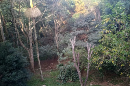 Chácara à venda com 7 quartos, sendo 3 suítes, em Saboó, São Roque, SP
