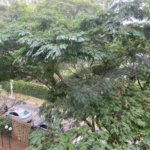 Apartamento à venda com 3 quartos, sendo 1 suíte, em Vila Suzana, São Paulo, SP