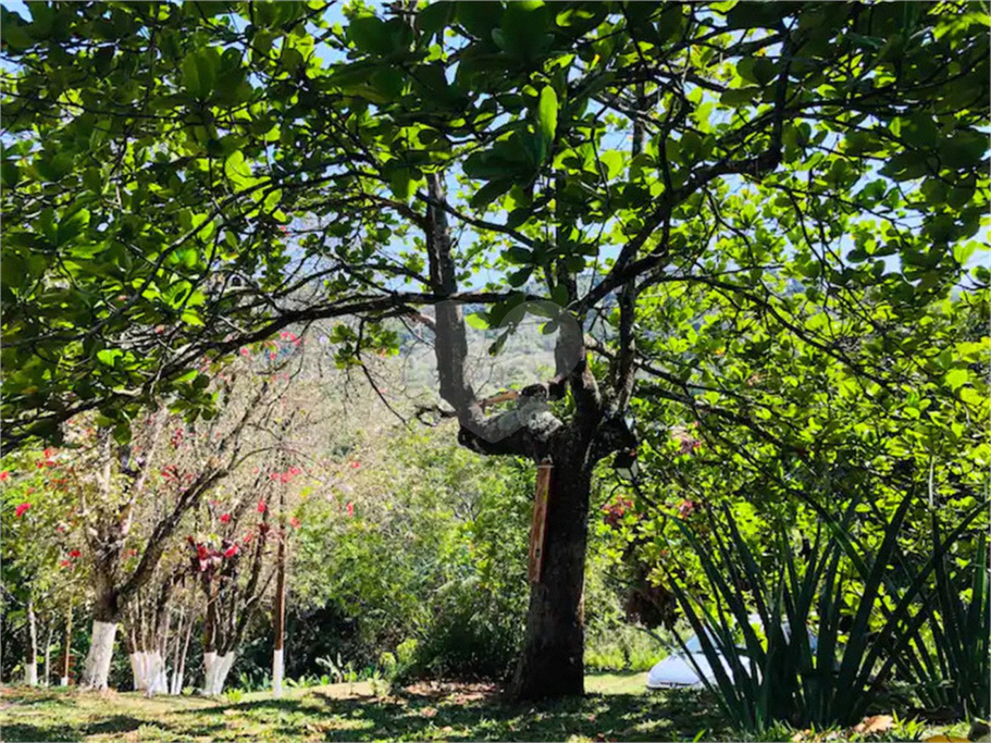 Chácara à venda com 7 quartos, sendo 3 suítes, em Parque Caetê, Bragança Paulista, SP