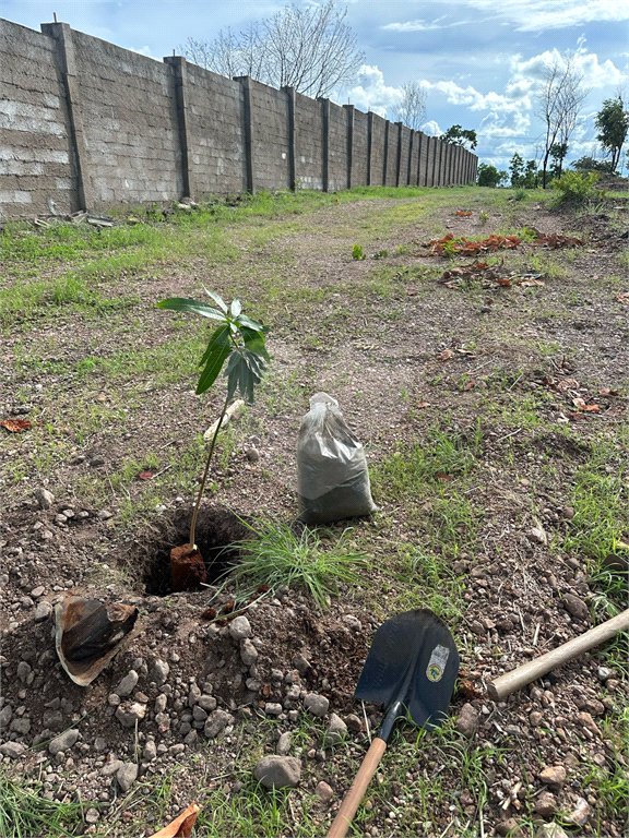 Terreno à venda em Nossa Senhora da Guia, Cuiabá, MT
