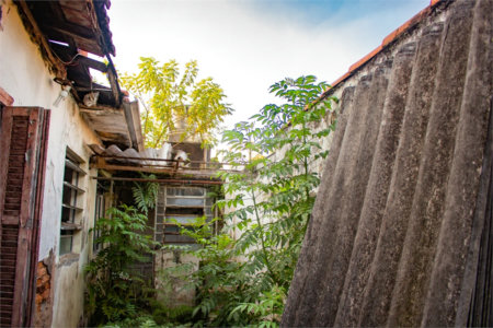 Terreno à venda com 3 quartos no condomínio Terreno com Casa, São Paulo - SP
