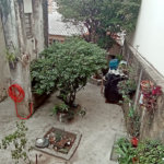 Casa Térrea à venda com 2 quartos em Vila Graziela, São Paulo, SP
