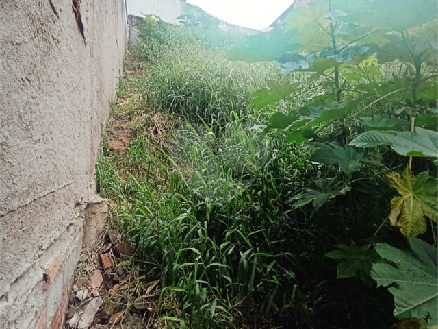 Terreno à venda em Tremembé, São Paulo, SP