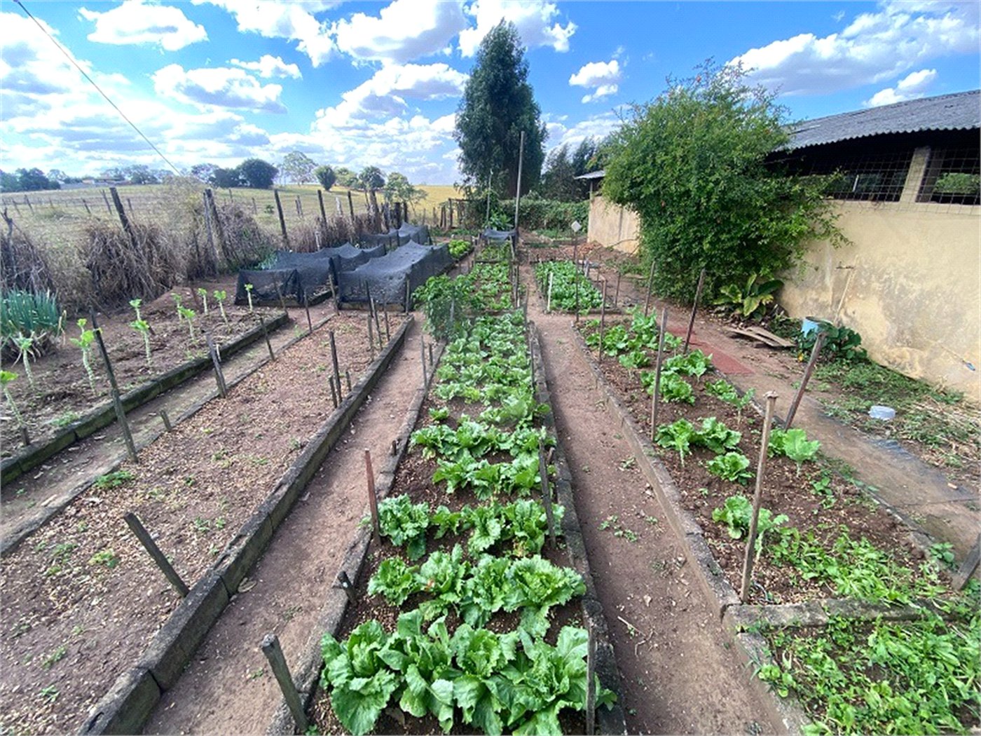 Excelente sitio para venda.
