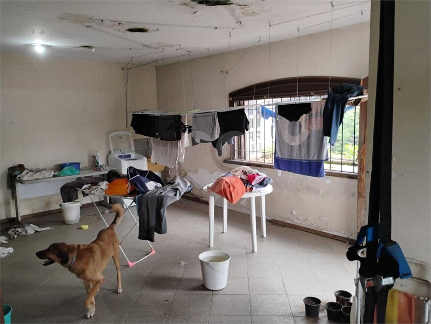 Casa à venda com 7 quartos, sendo 2 suítes,  em Brooklin Paulista, São Paulo, SP