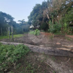Chácara à venda com 3 quartos, sendo 1 suíte,  em Ribeirãozinho, Alambari, SP