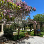 Apartamento à venda com 2 suítes em Vila Oliveira, Mogi das Cruzes, SP