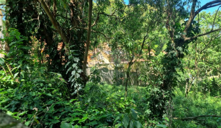 Terreno à venda no condomínio Horto do Ypê, São Paulo - SP