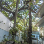 Casa Térrea à venda com 4 quartos, sendo 2 suítes, em Jardim das Bandeiras, São Paulo, SP