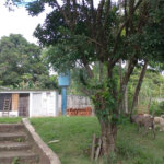 Chácara à venda com 3 quartos, sendo 2 suítes, em Terras de Santa Carolina II, Itu, SP