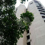 Apartamento à venda com 4 quartos, sendo 3 suítes,  em Vila Suzana, São Paulo, SP