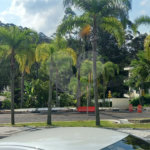 Terreno à venda no condomínio Reserva da Cantareiara, São Paulo - SP
