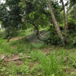 Terreno à venda em Vila Moraes, Mogi das Cruzes, SP