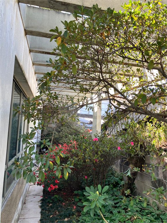 Casa à venda com 5 quartos, sendo 2 suítes,  em Vila Maria Alta, São Paulo, SP