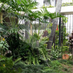 Sobrado à venda com 4 quartos, sendo 1 suíte, em Ipiranga, São Paulo, SP